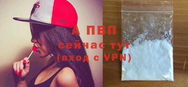 индика Абдулино
