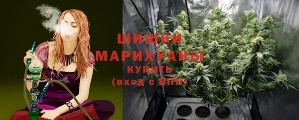 индика Абдулино