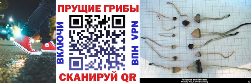 Псилоцибиновые грибы ЛСД  Исилькуль 